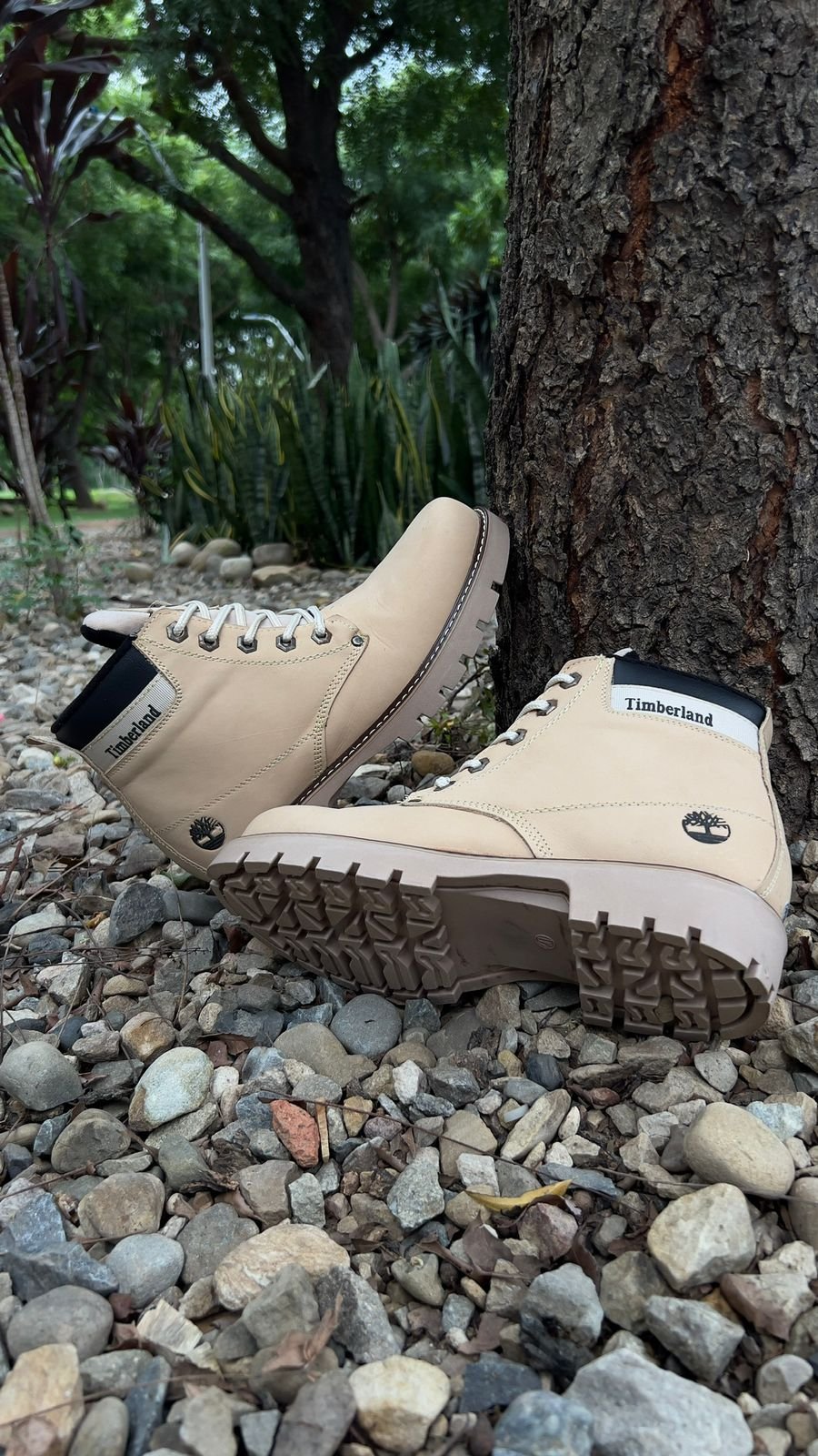 TIMBERLAND CLASICA CUERO BEIGE