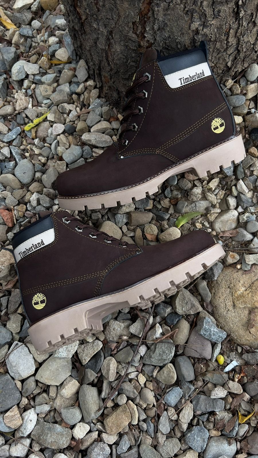 TIMBERLAND CLASICA CUERO MARRON